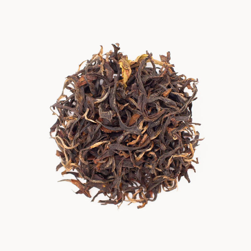 A Dong Fang Hong of black tea on a white background.