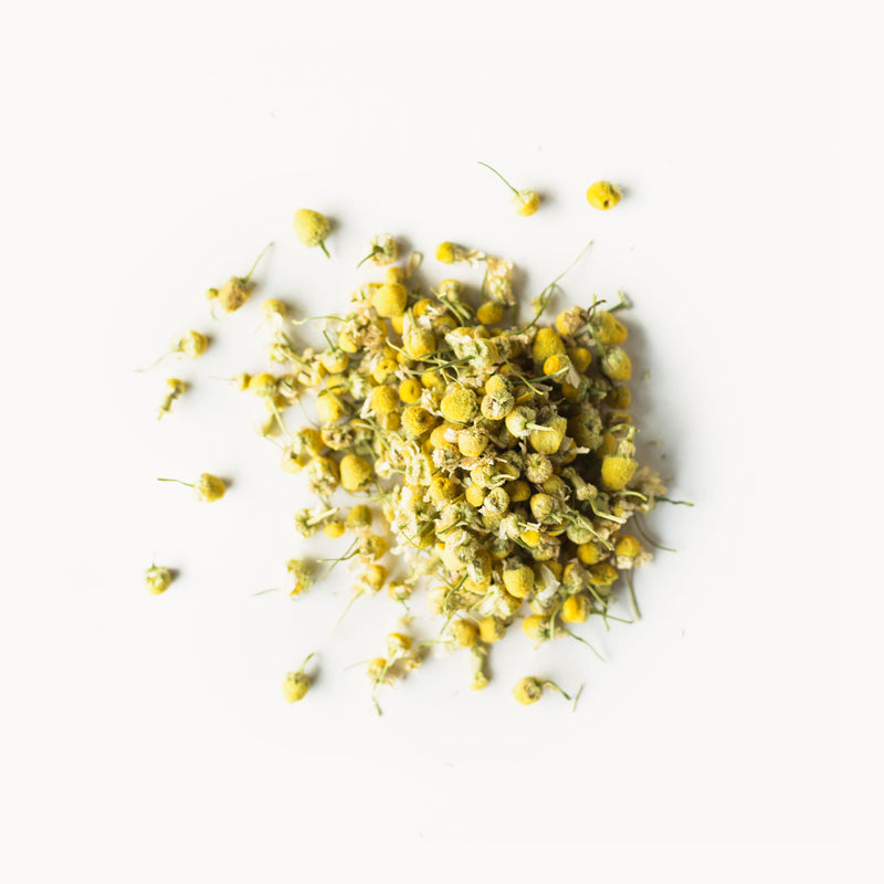 A pile of dried Golden Chamomile Blossoms on a white background, by Rishi Tea & Botanicals.